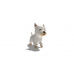 Highland Terrier